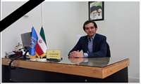 درگذشت مدیر توسعه پژوهش دانشگاه علوم پزشکی در سانحه رانندگی